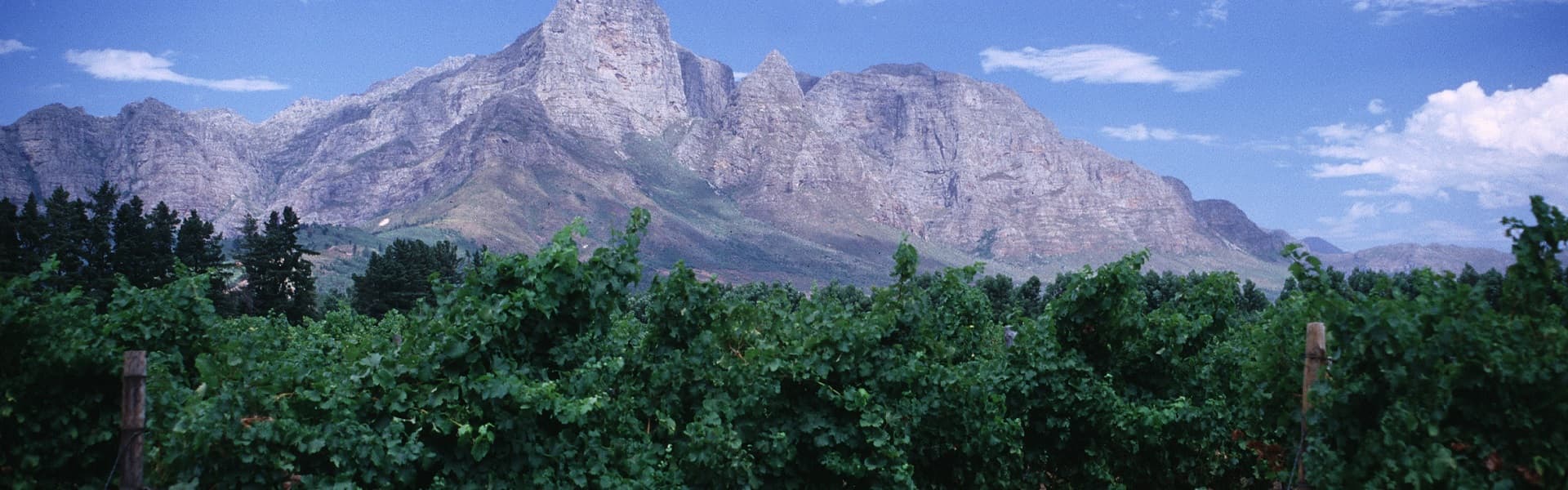 Leeuwenkuil Paarl